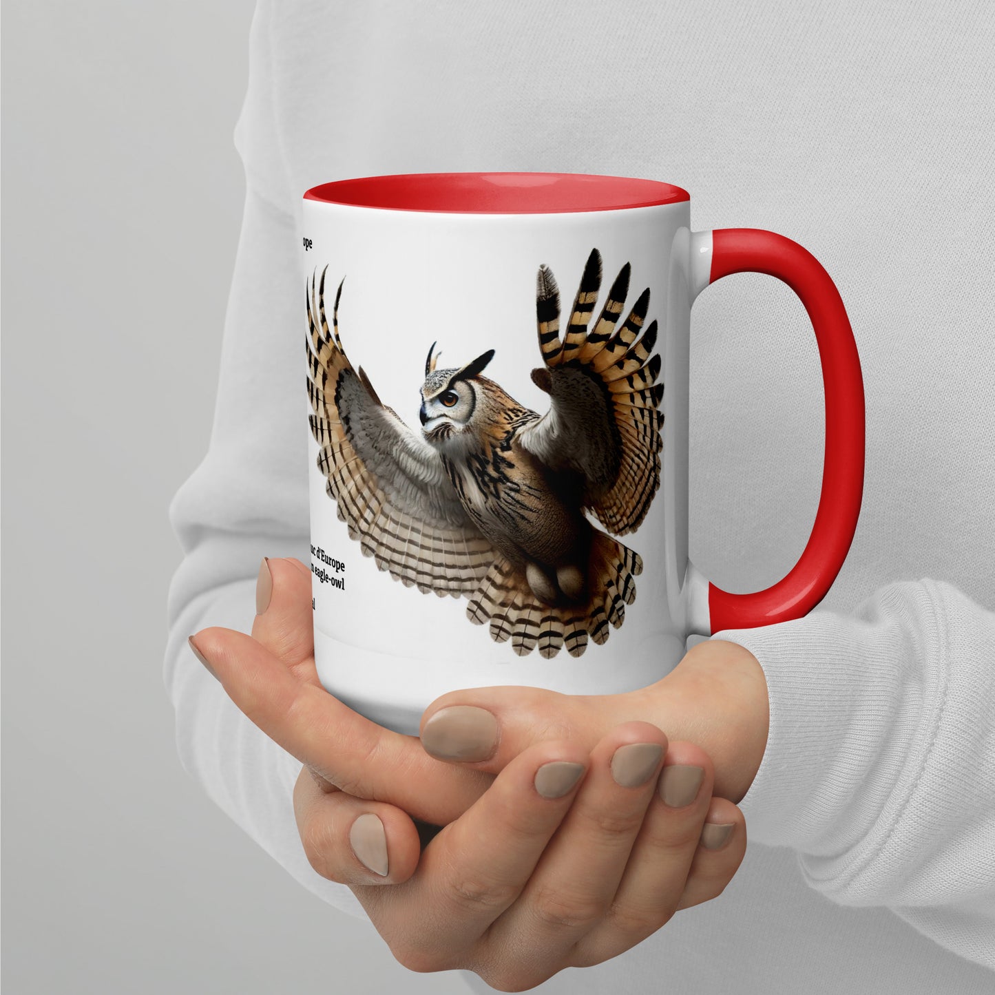 440ml Mug with colour inside Birds of Europe 18 Eagle-owl