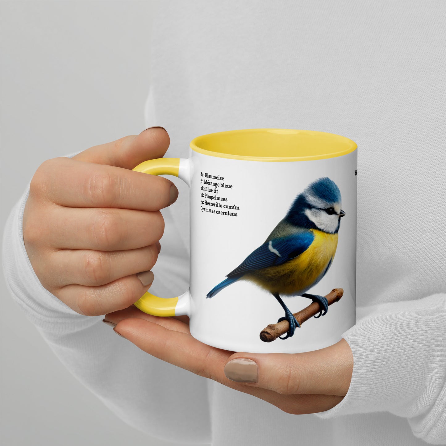 320ml Mug with Colour Inside Birds of Europe 02 Blue Tit & Great Tit