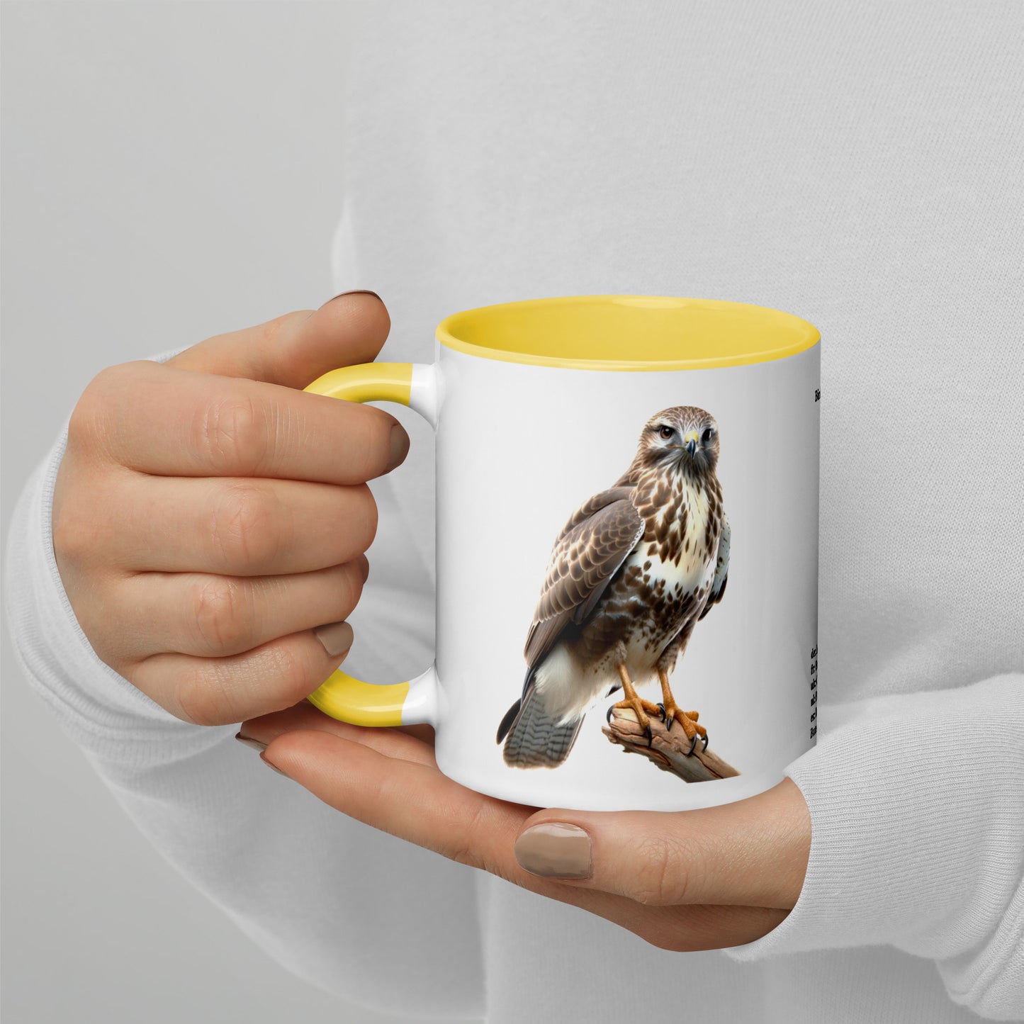 320ml Mug with Colour Inside Birds of Europe 07 Mausebussard