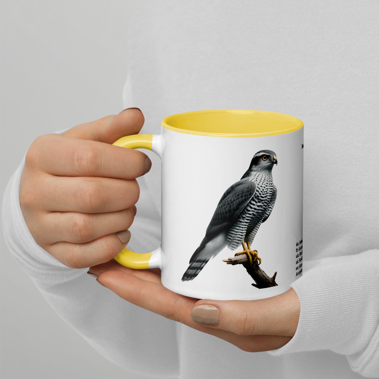 320ml Mug with Colour Inside Birds of Europe 09 Habicht