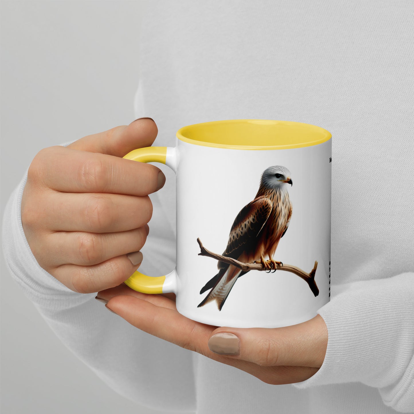 320ml Mug with Colour Inside Birds of Europe 10 Red Kite