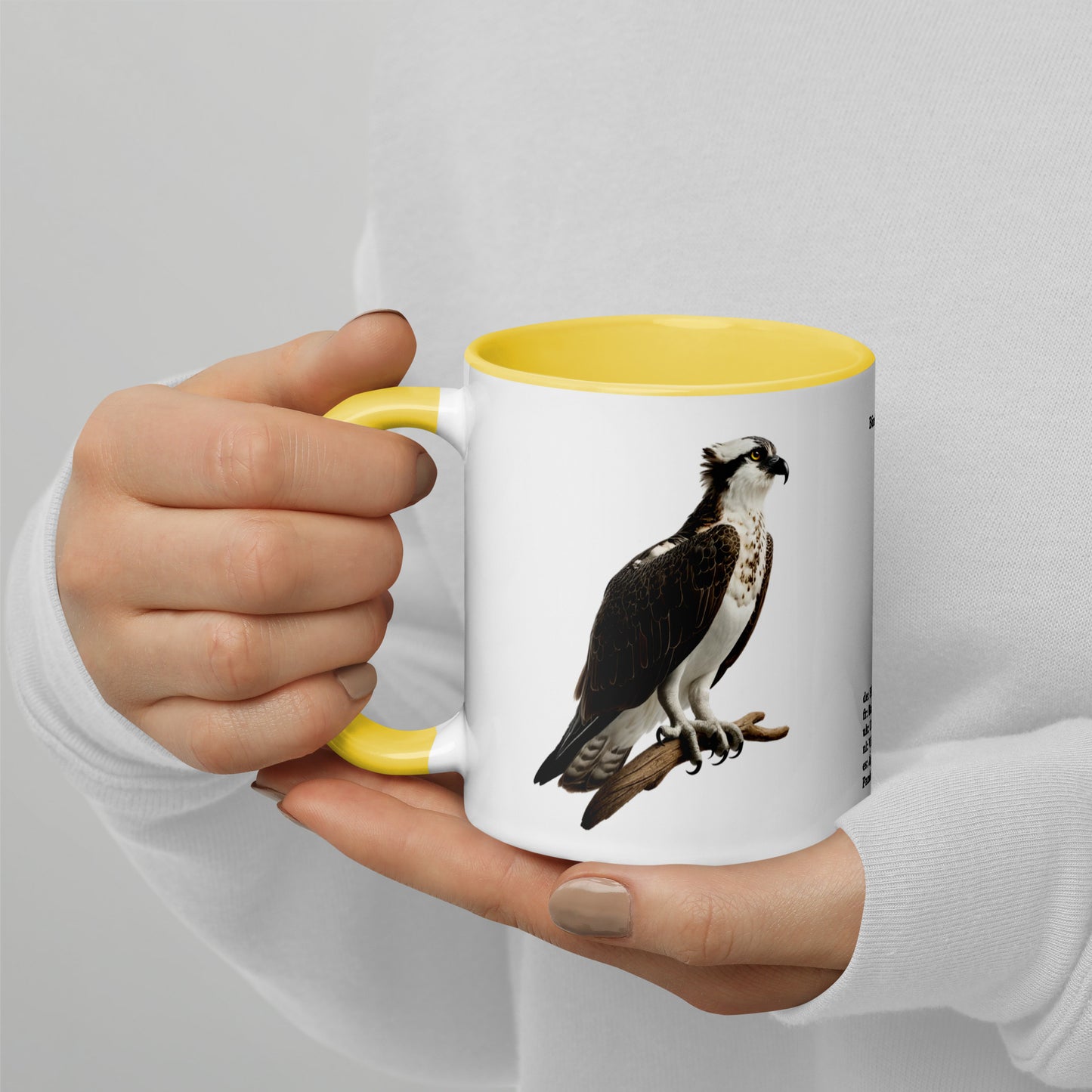 320ml Mug with Colour Inside Birds of Europe 13 Fischadler