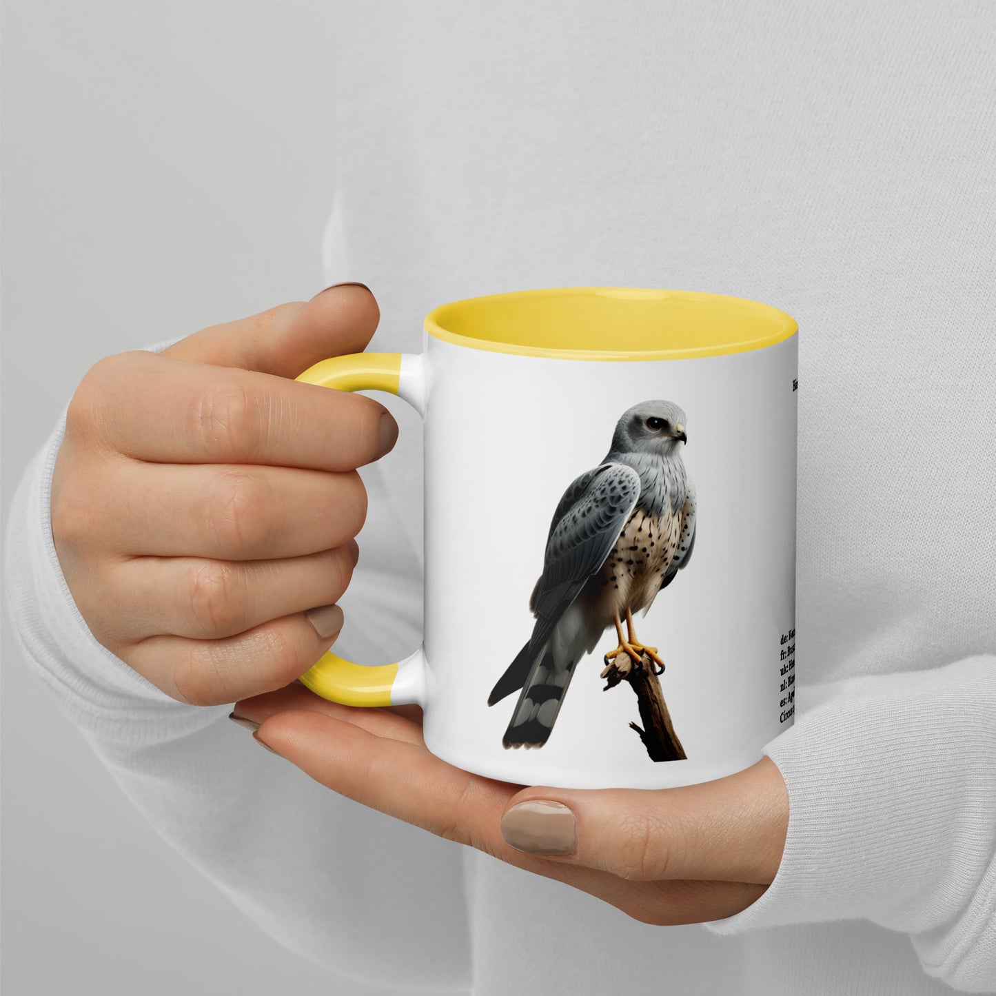 320ml Mug with Colour Inside Birds of Europe 14 Kornweihe