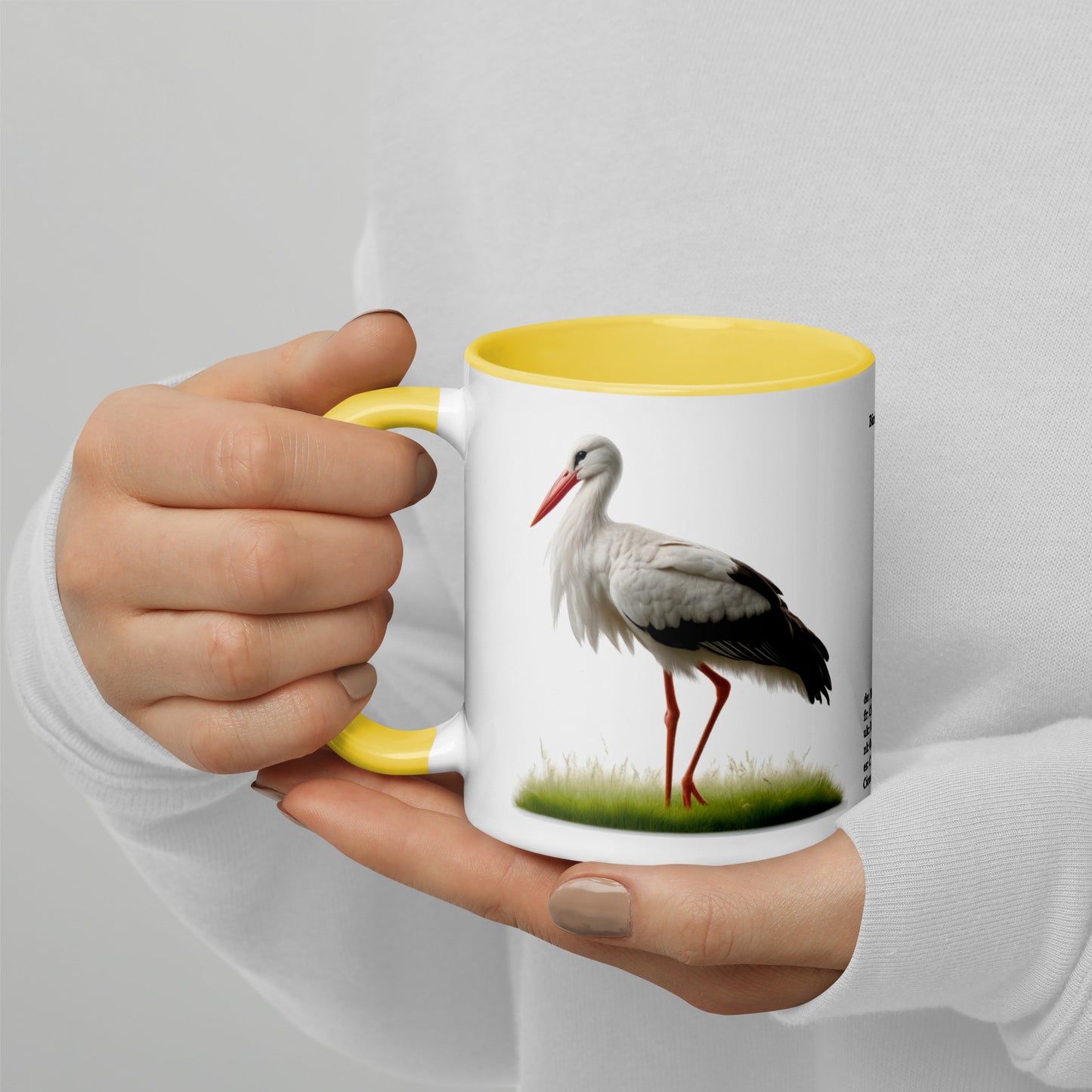 320ml Mug with Colour Inside Birds of Europe 16 Weissstorch