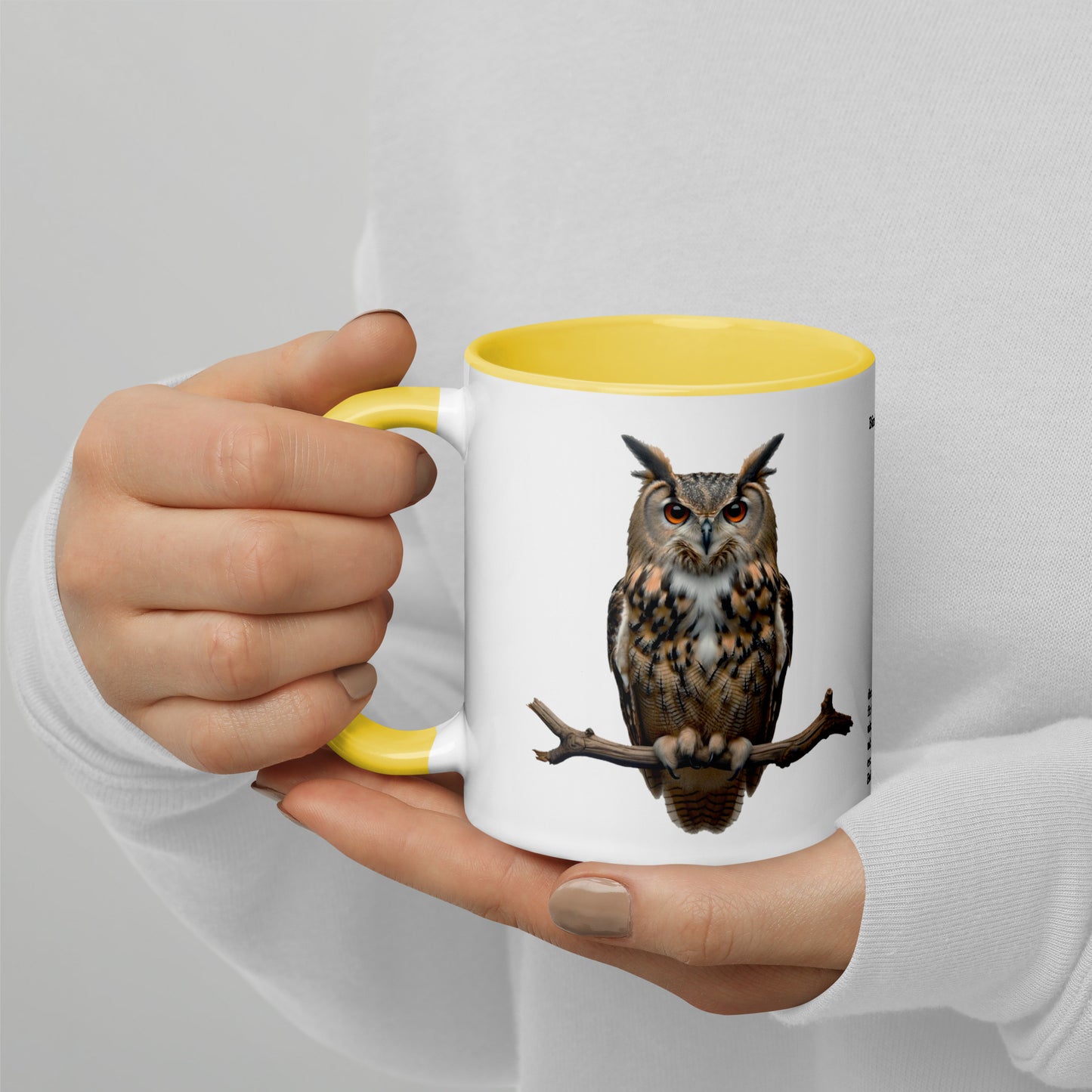 320ml Mug with Colour Inside Birds of Europe 18 Eagle-Owl