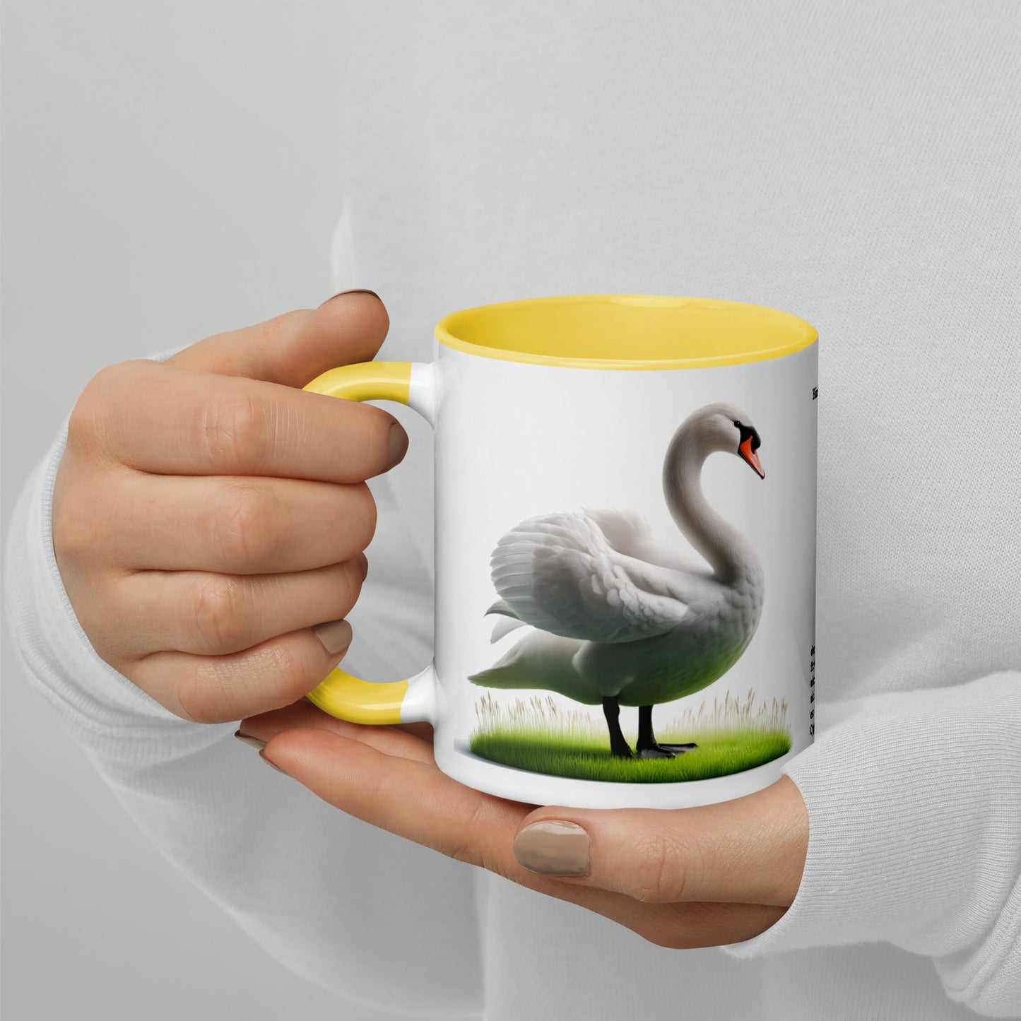 320ml Mug with Colour Inside Birds of Europe 19 Mute Swan