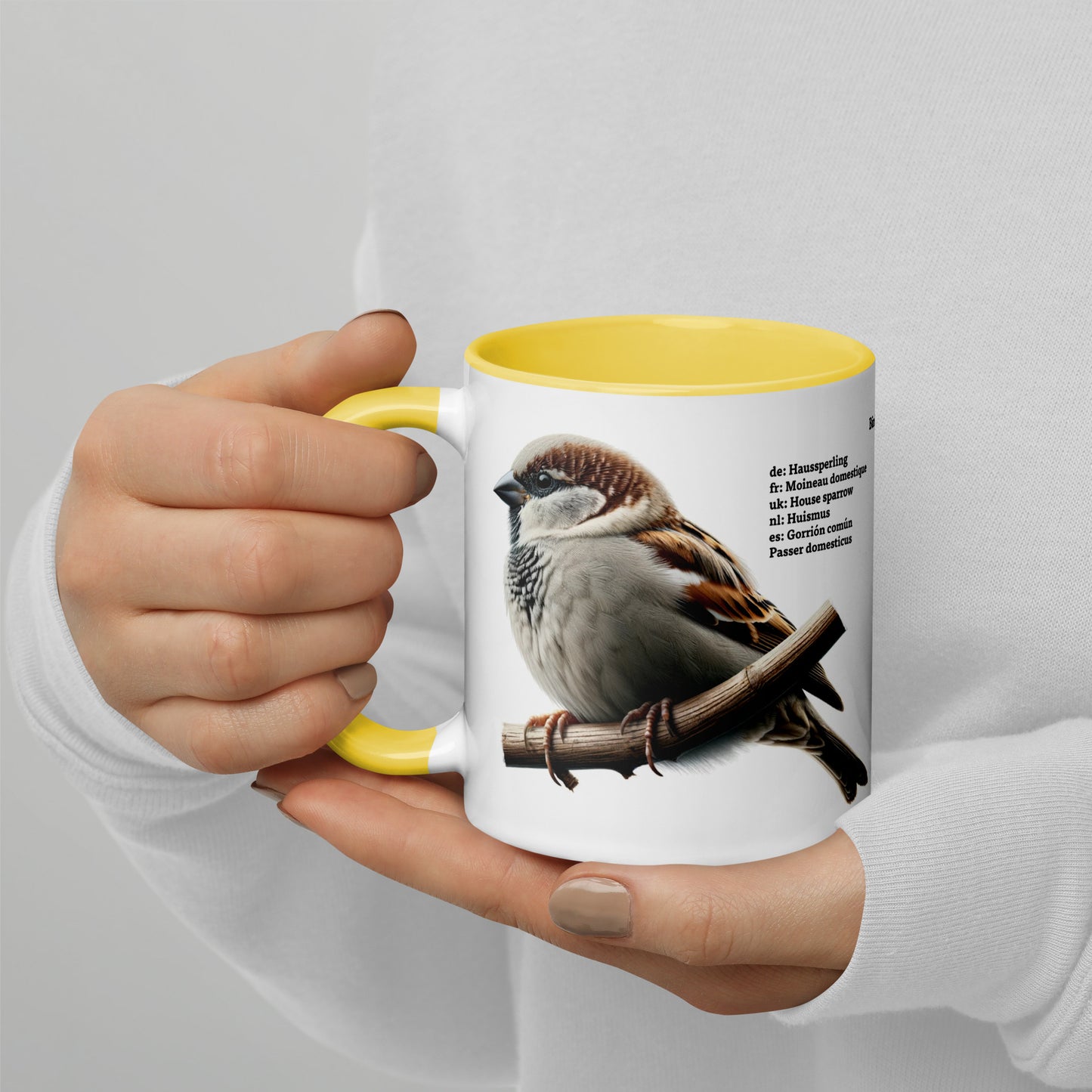 320ml Mug with Colour inside Birds of Europe 01 Sparrow & Crested Tit