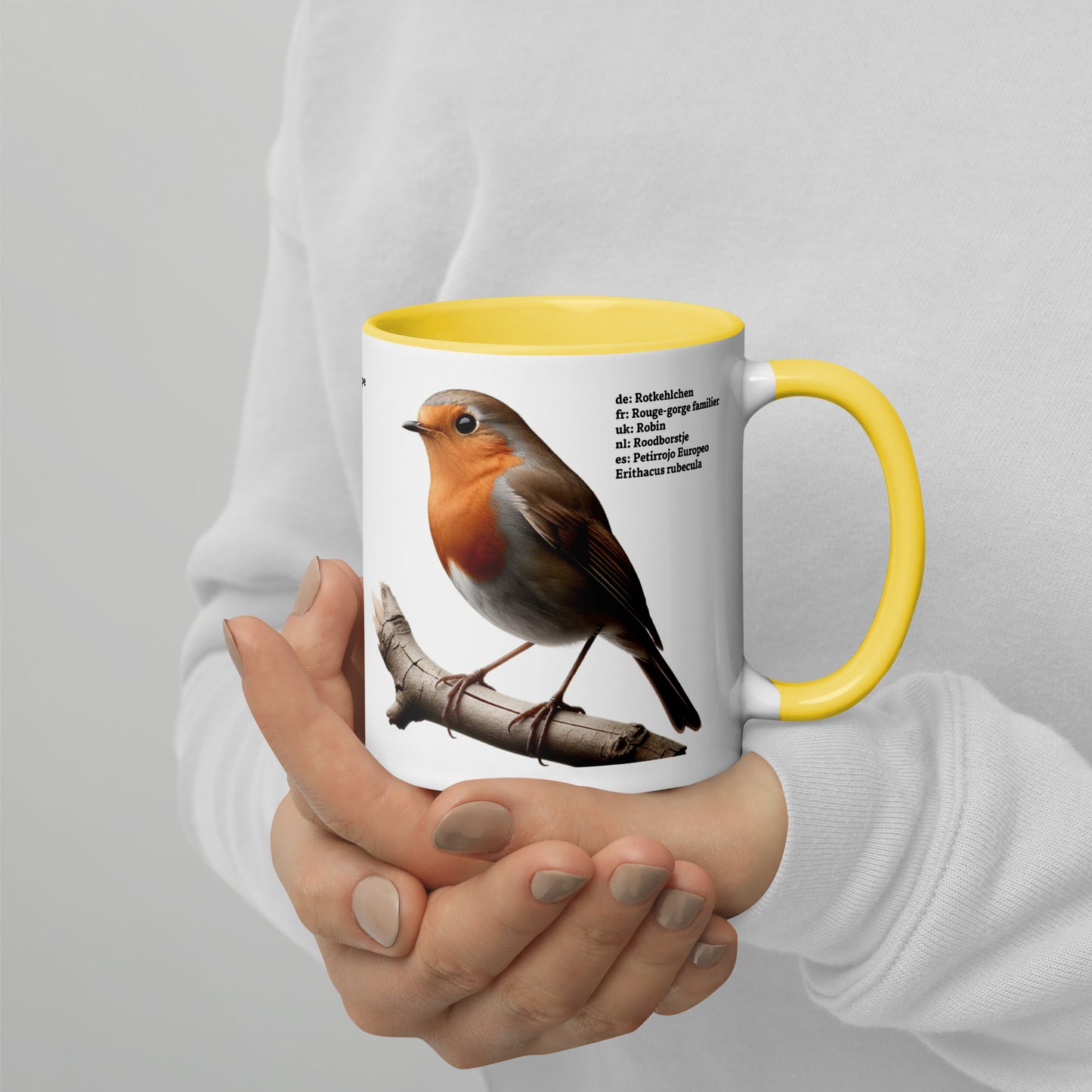 320ml Mug with Colour Inside Birds of Europe 03 Blackbird & Robin