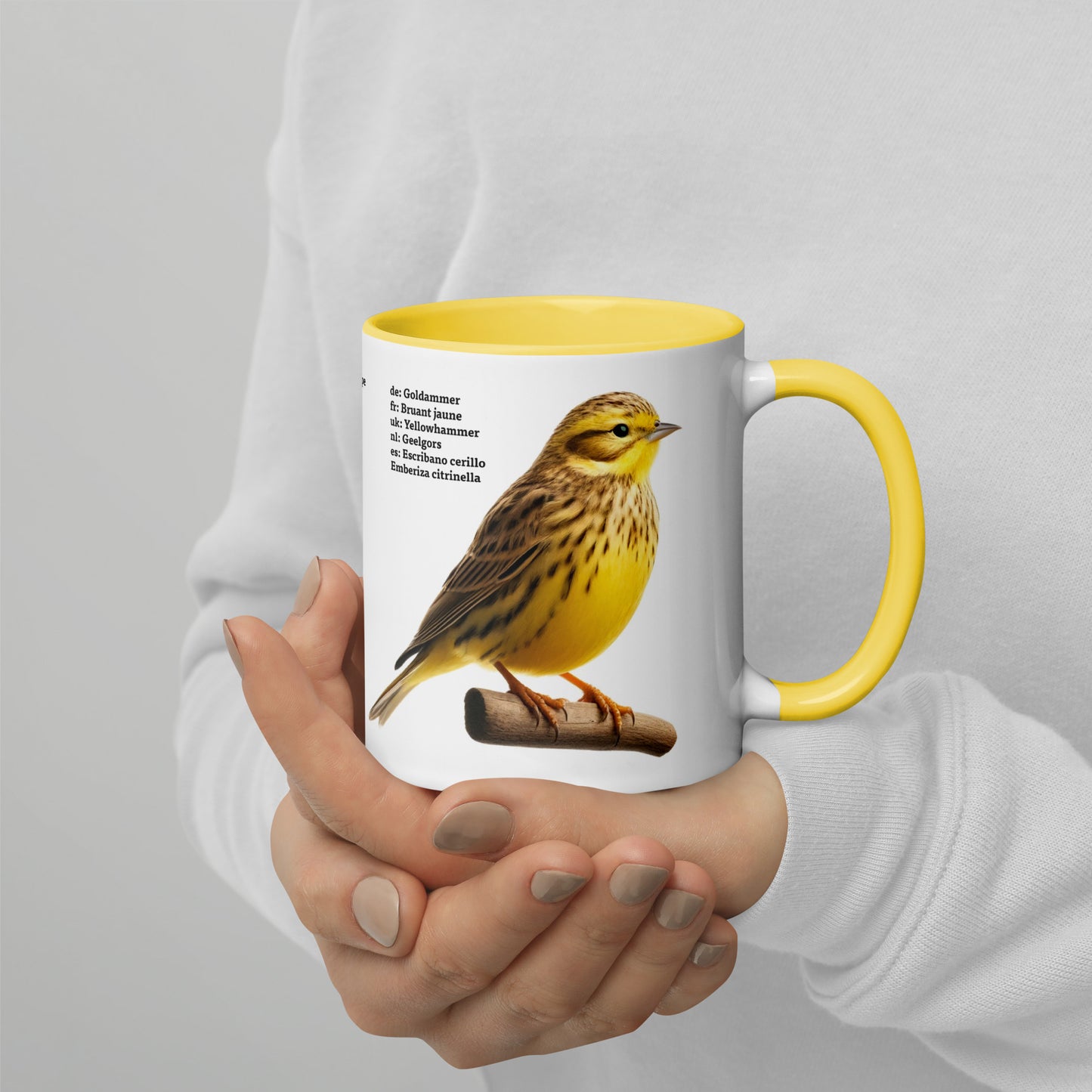 320ml Mug with Colour Inside Birds of Europe 05 White wagtail & Yellowhammer