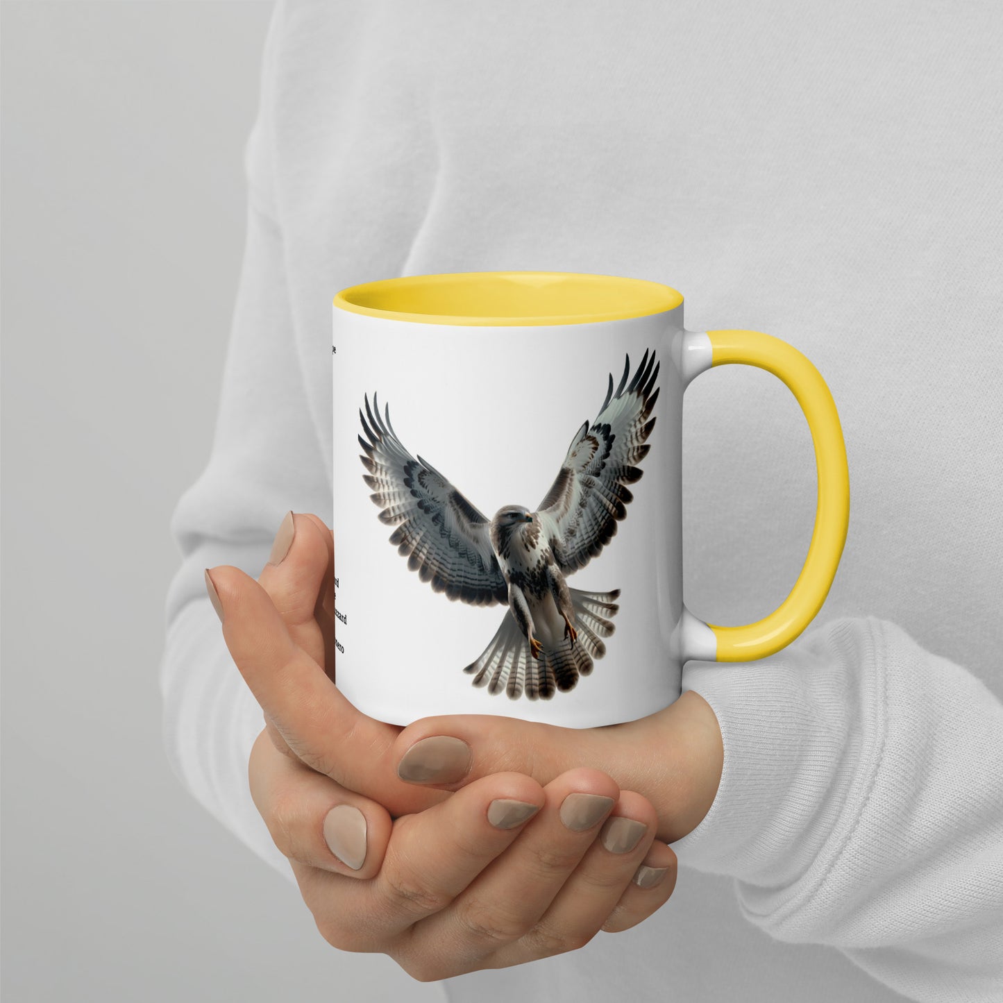 320ml Mug with Colour Inside Birds of Europe 07 Mausebussard