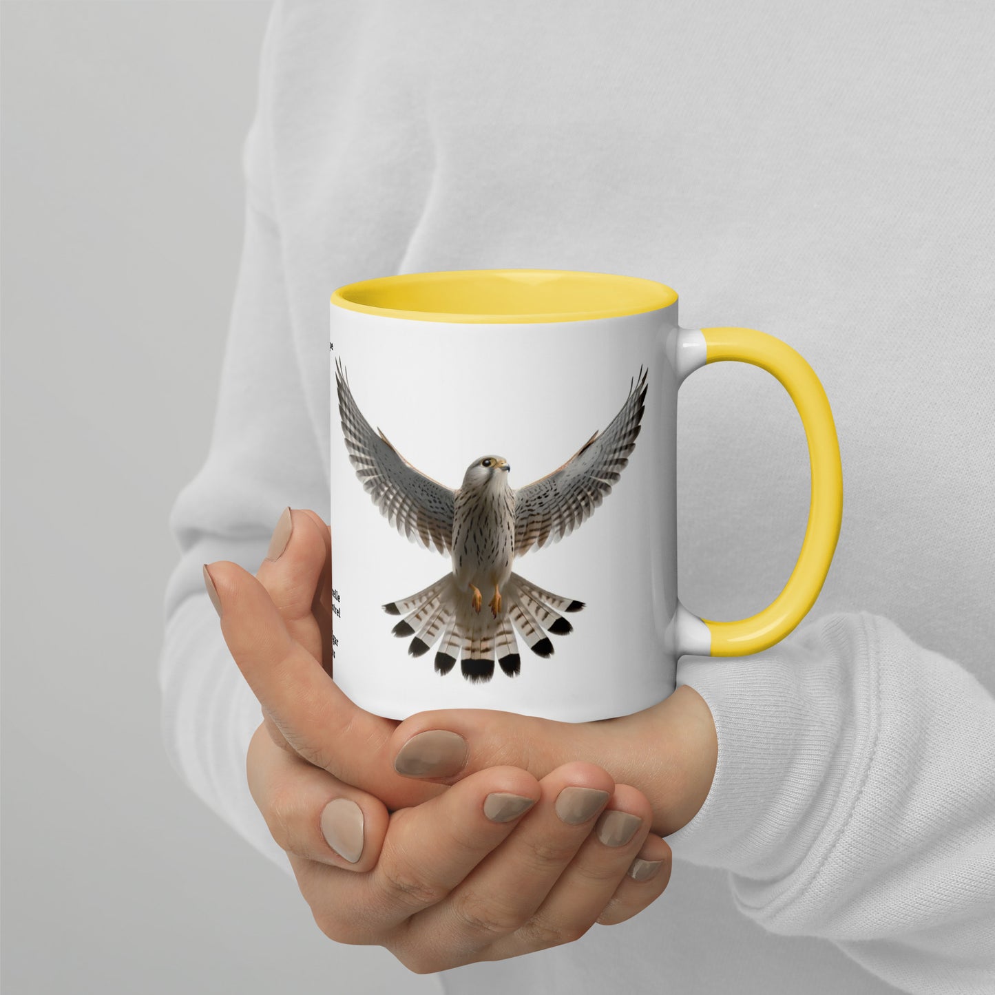 320ml Mug with Colour Inside Birds of Europe 08 Turmfalke