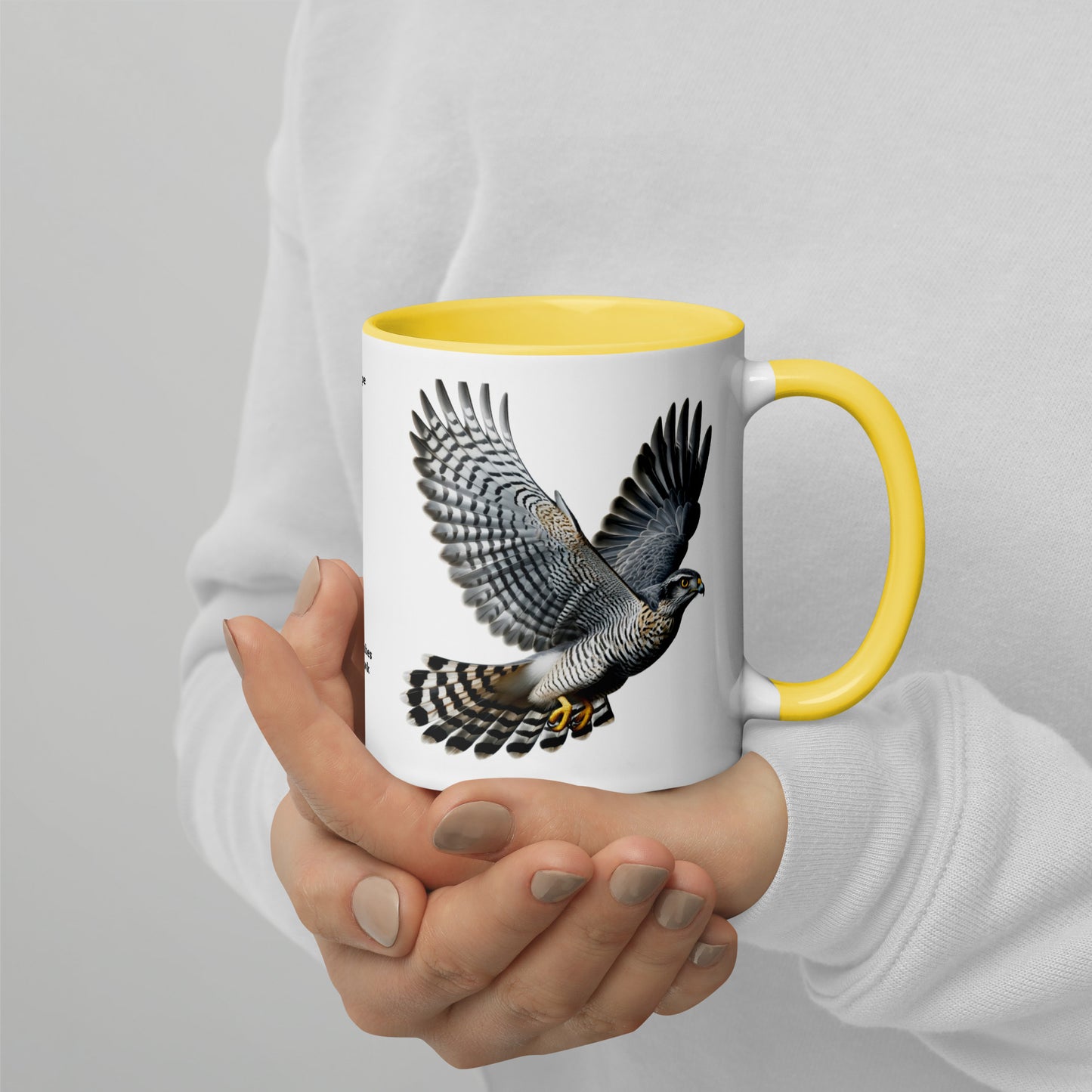 320ml Mug with Colour Inside Birds of Europe 09 Habicht