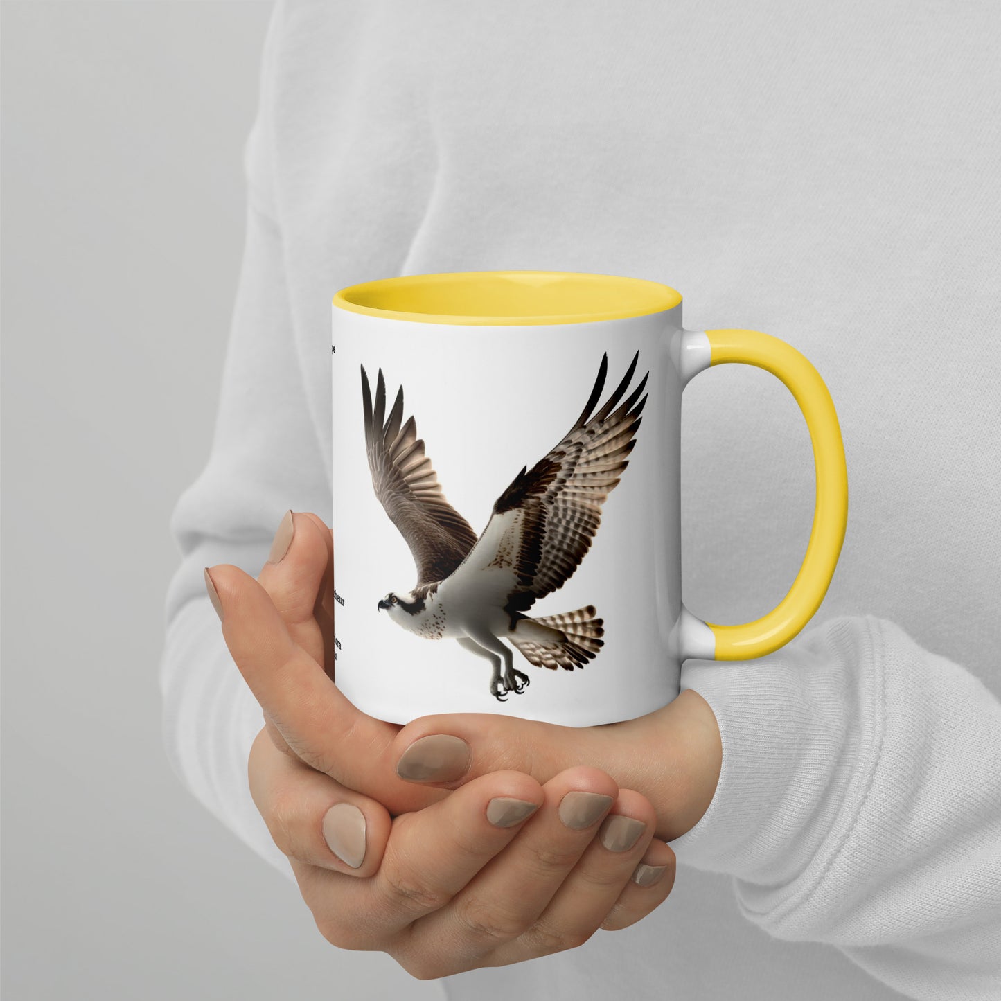 320ml Mug with Colour Inside Birds of Europe 13 Fischadler