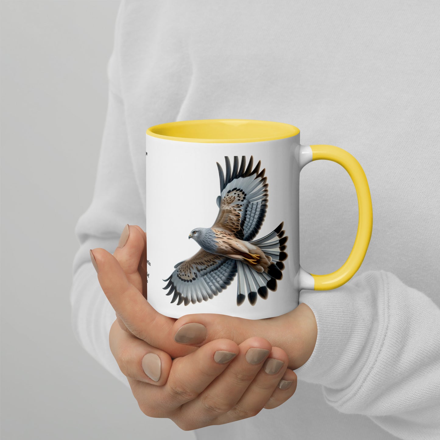 320ml Mug with Colour Inside Birds of Europe 14 Kornweihe