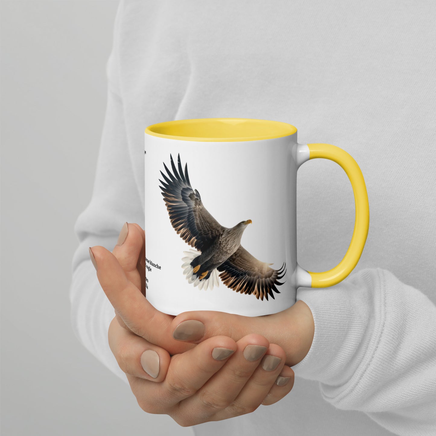 320ml Mug with Colour Inside Birds of Europe 15 Seeadler