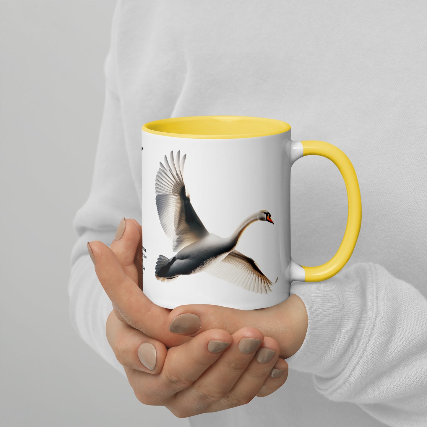 320ml Mug with Colour Inside Birds of Europe 19 Mute Swan