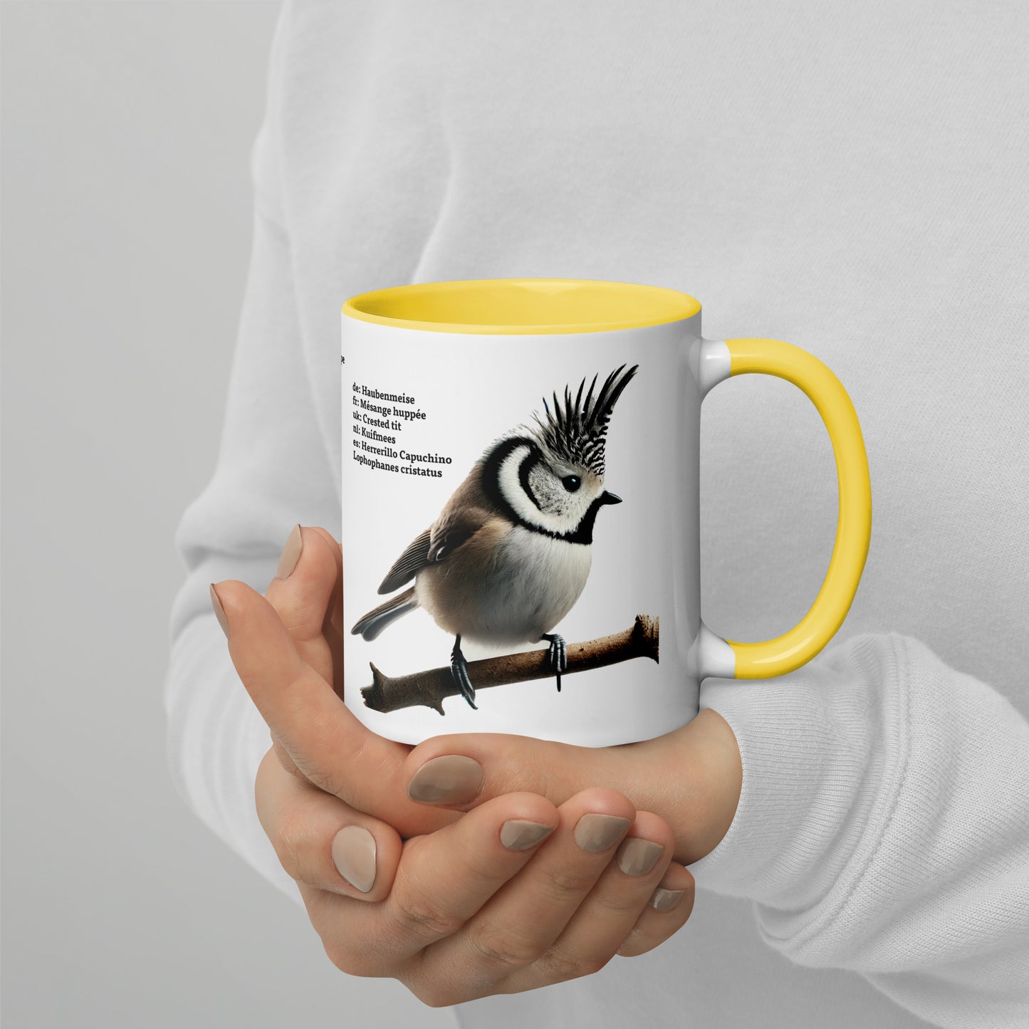 320ml Mug with Colour inside Birds of Europe 01 Sparrow & Crested Tit