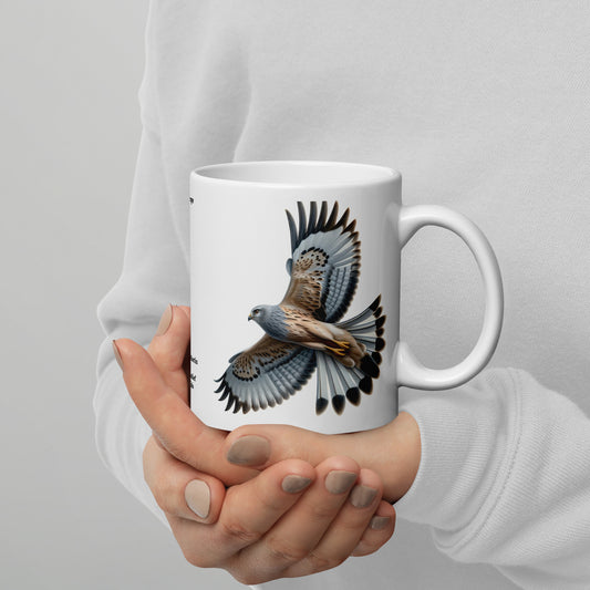 320ml White glossy mug Birds of Europe 14 Hen Harrier