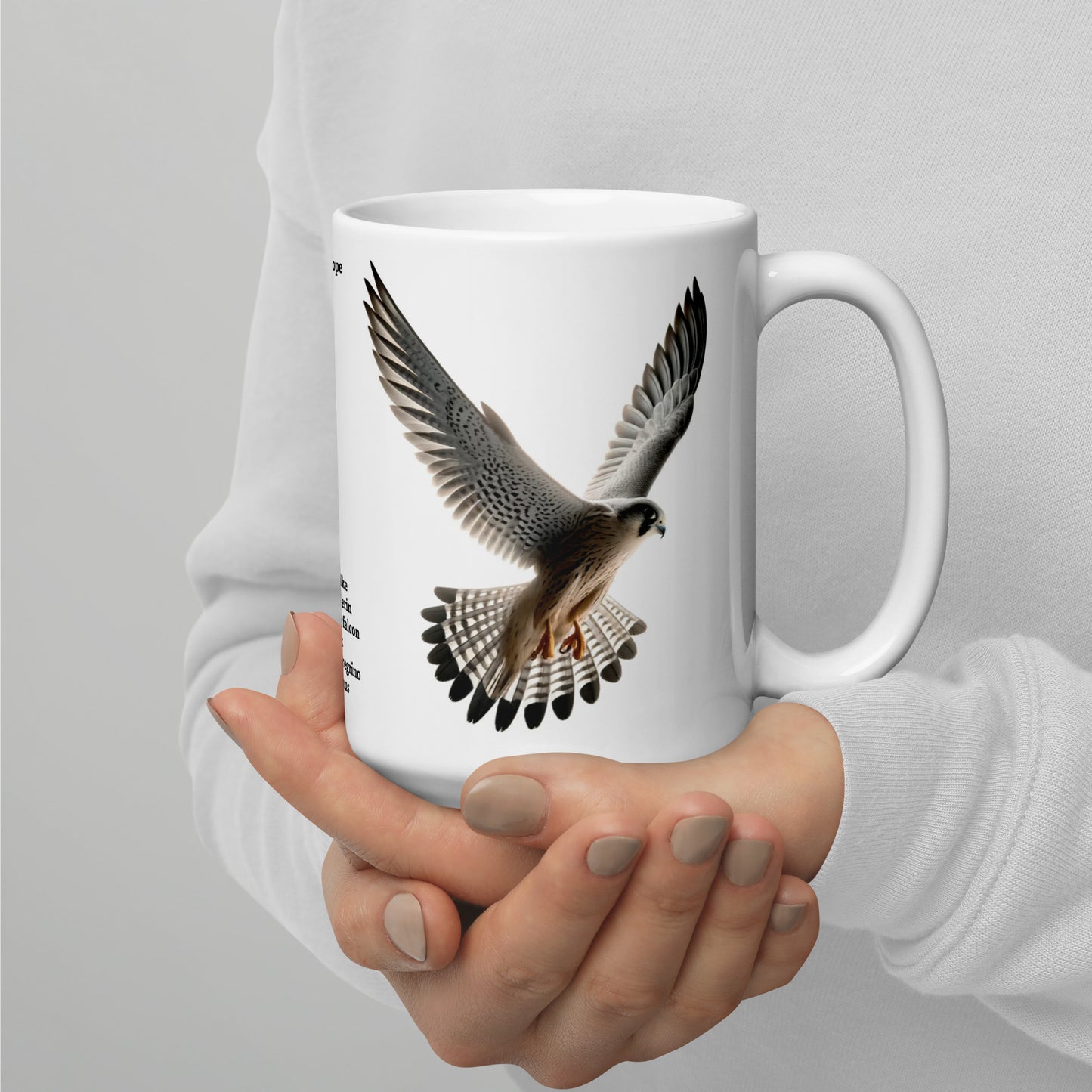 440ml White glossy mug Birds of Europe 11 Peregrine Falcon